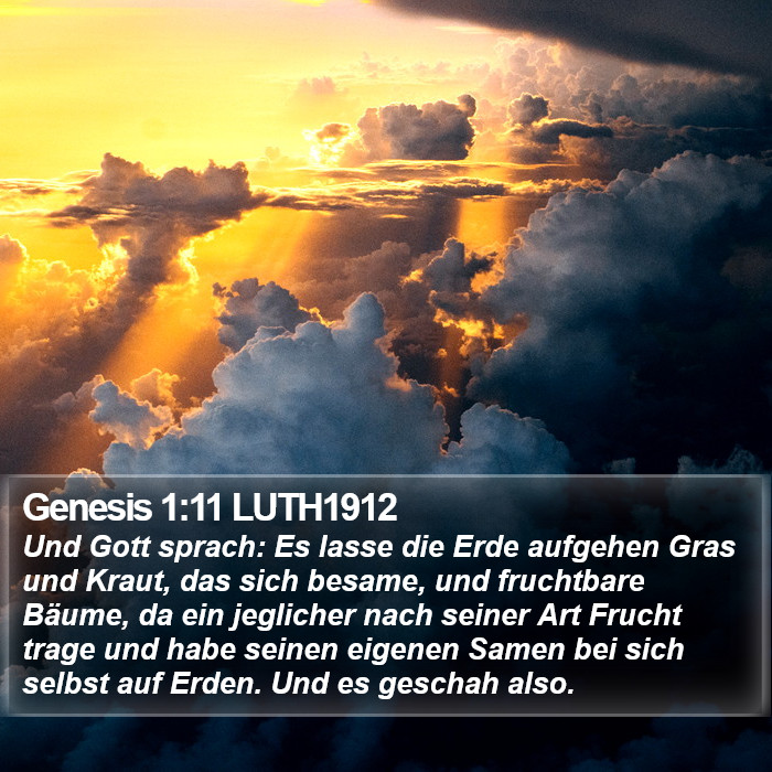 Genesis 1:11 LUTH1912 Bible Study