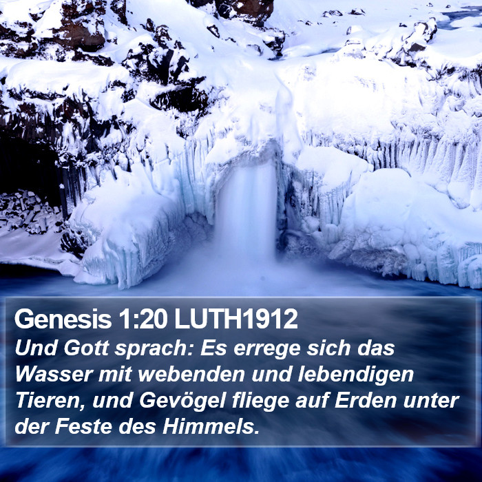 Genesis 1:20 LUTH1912 Bible Study