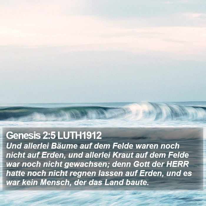 Genesis 2:5 LUTH1912 Bible Study