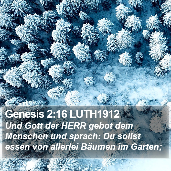 Genesis 2:16 LUTH1912 Bible Study