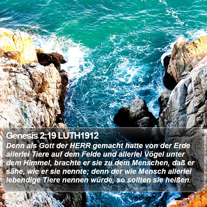 Genesis 2:19 LUTH1912 Bible Study