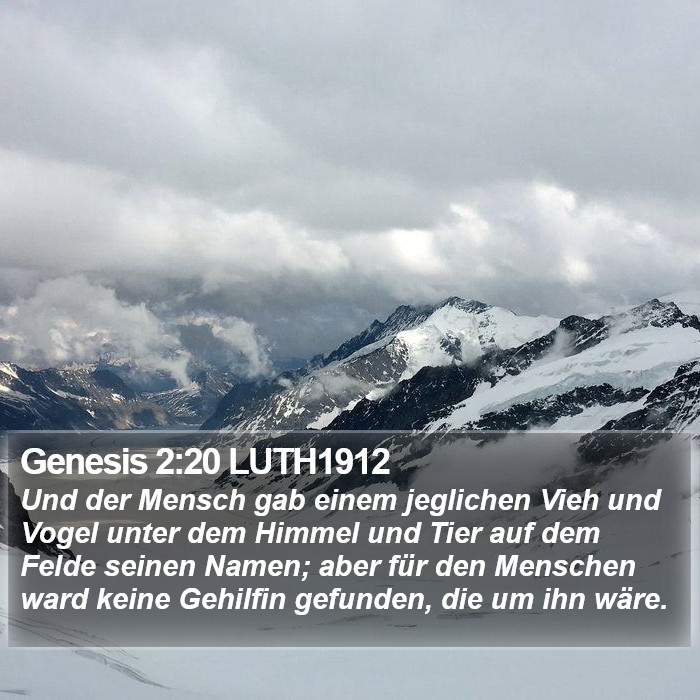 Genesis 2:20 LUTH1912 Bible Study