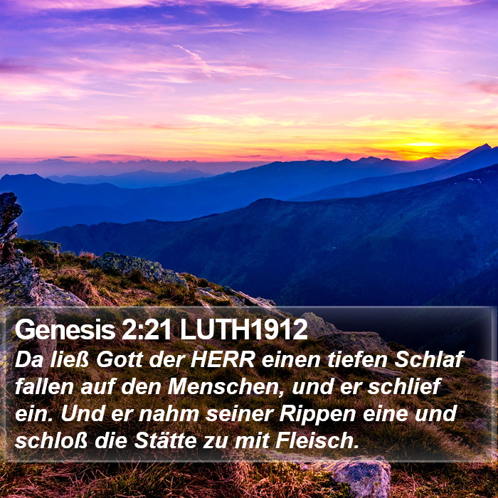 Genesis 2:21 LUTH1912 Bible Study