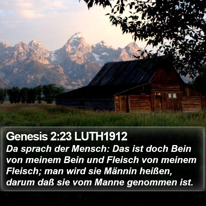 Genesis 2:23 LUTH1912 Bible Study