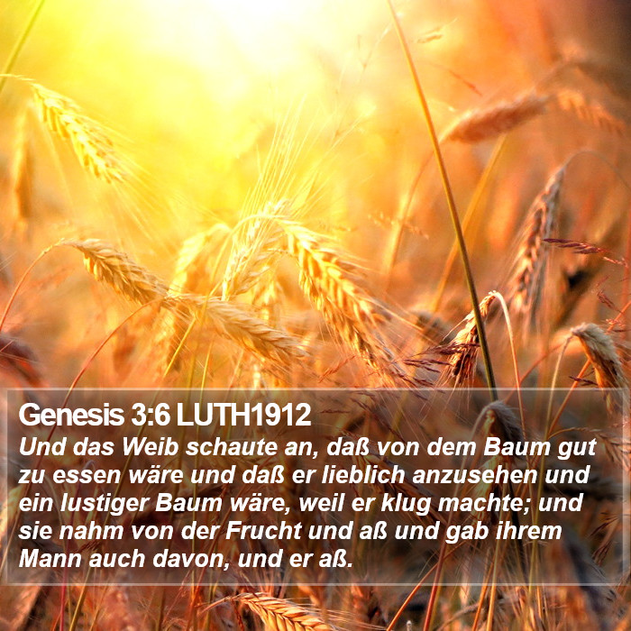 Genesis 3:6 LUTH1912 Bible Study