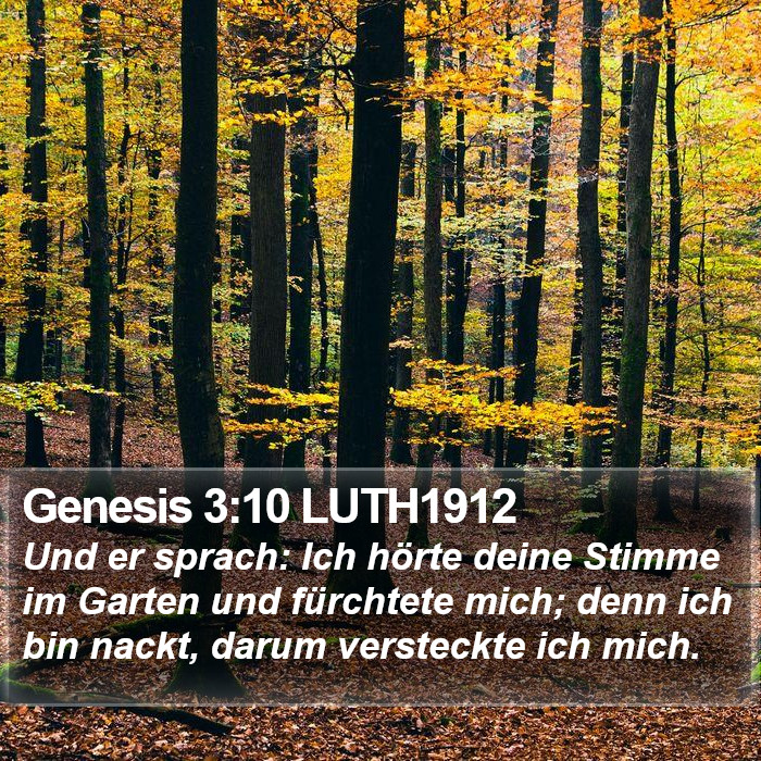 Genesis 3:10 LUTH1912 Bible Study