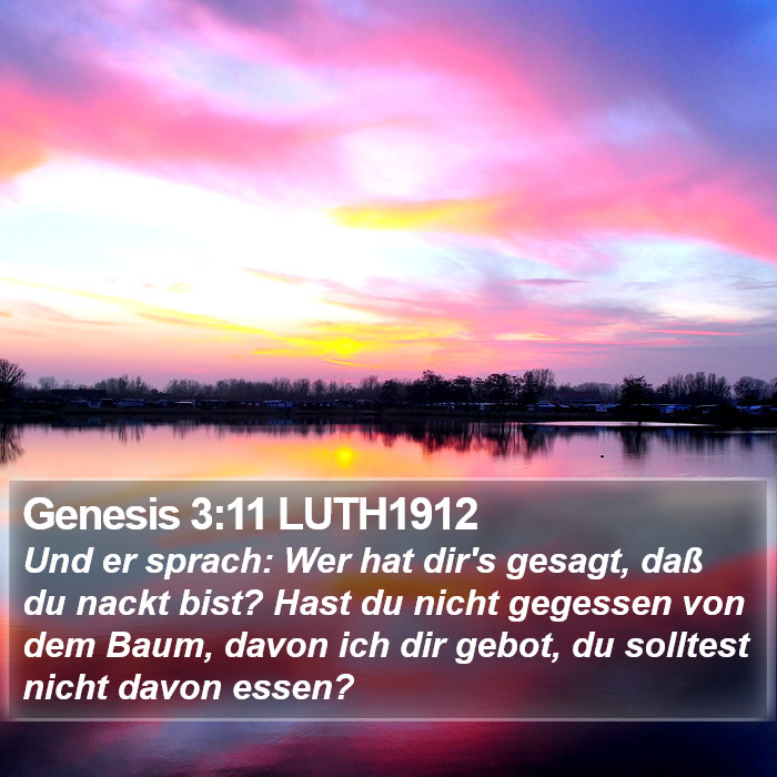 Genesis 3:11 LUTH1912 Bible Study