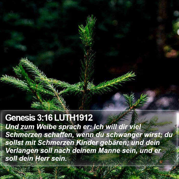Genesis 3:16 LUTH1912 Bible Study