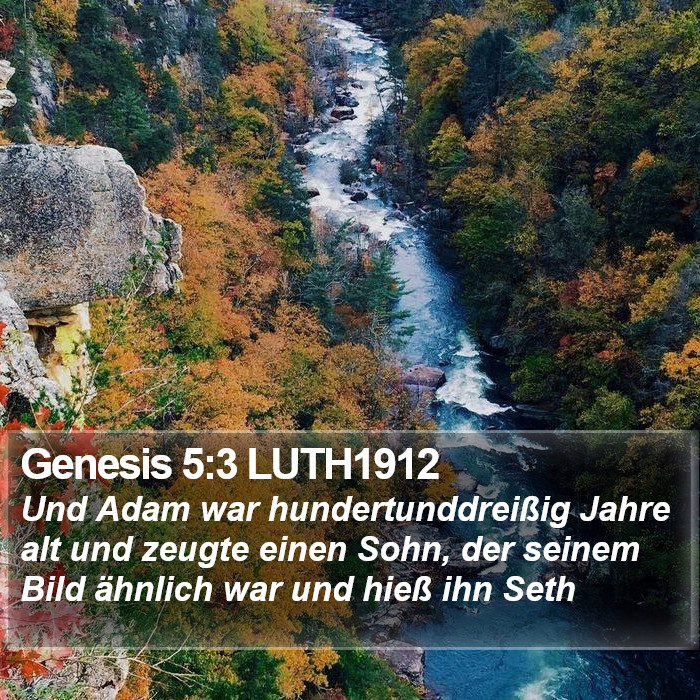 Genesis 5:3 LUTH1912 Bible Study