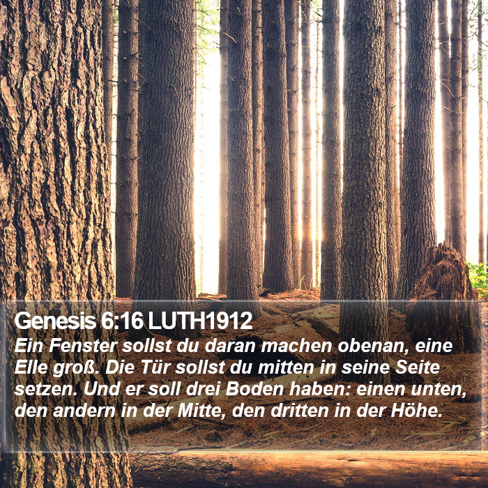 Genesis 6:16 LUTH1912 Bible Study