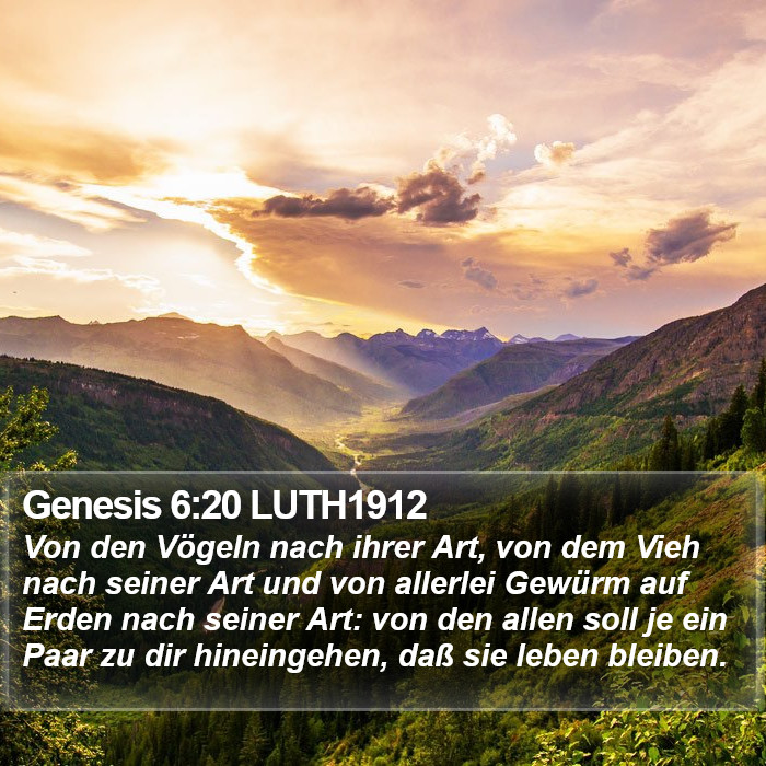 Genesis 6:20 LUTH1912 Bible Study