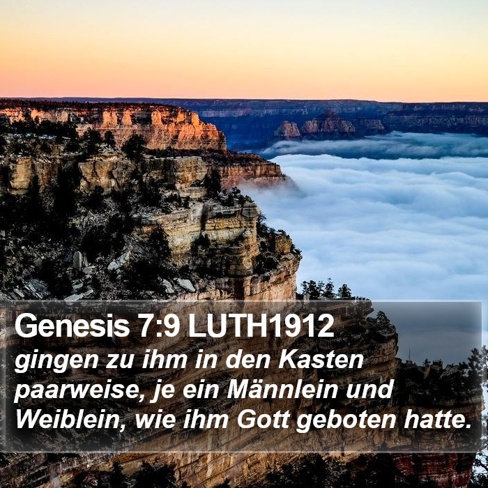 Genesis 7:9 LUTH1912 Bible Study