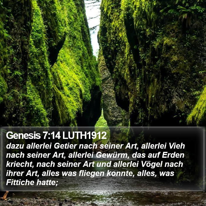 Genesis 7:14 LUTH1912 Bible Study