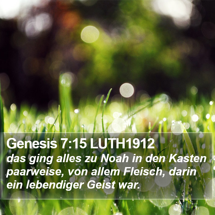 Genesis 7:15 LUTH1912 Bible Study
