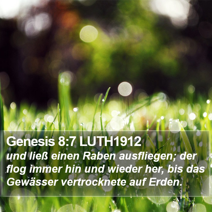 Genesis 8:7 LUTH1912 Bible Study