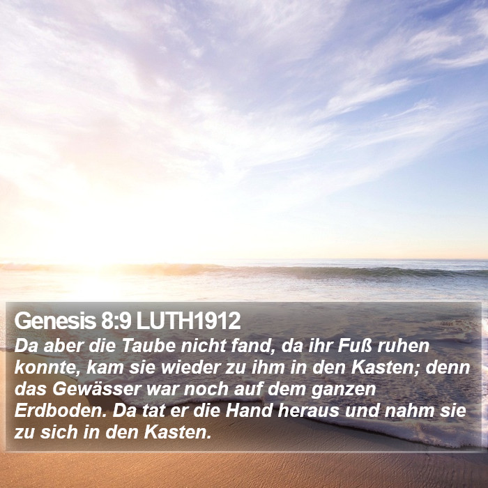 Genesis 8:9 LUTH1912 Bible Study