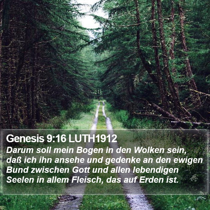 Genesis 9:16 LUTH1912 Bible Study