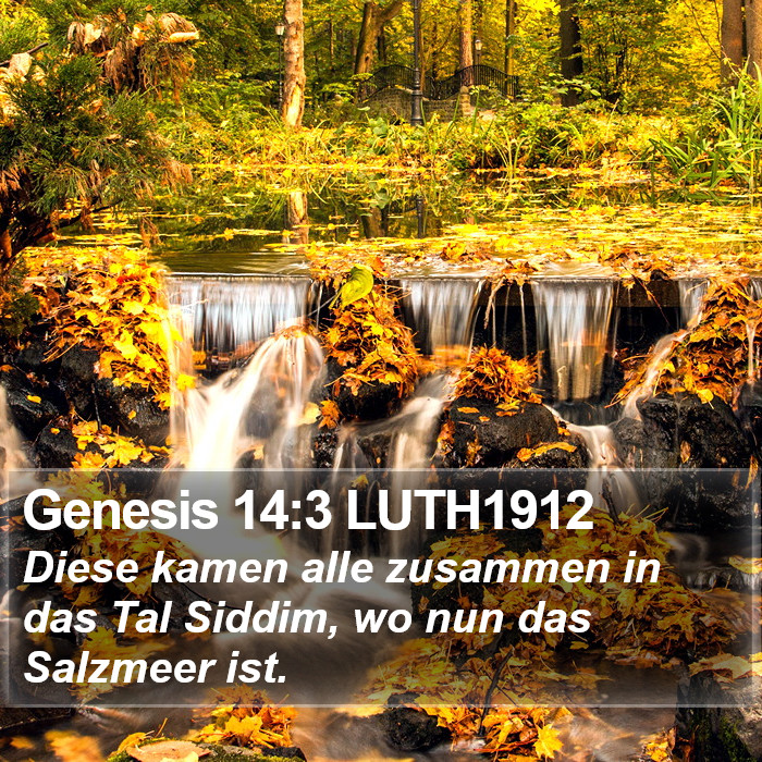Genesis 14:3 LUTH1912 Bible Study