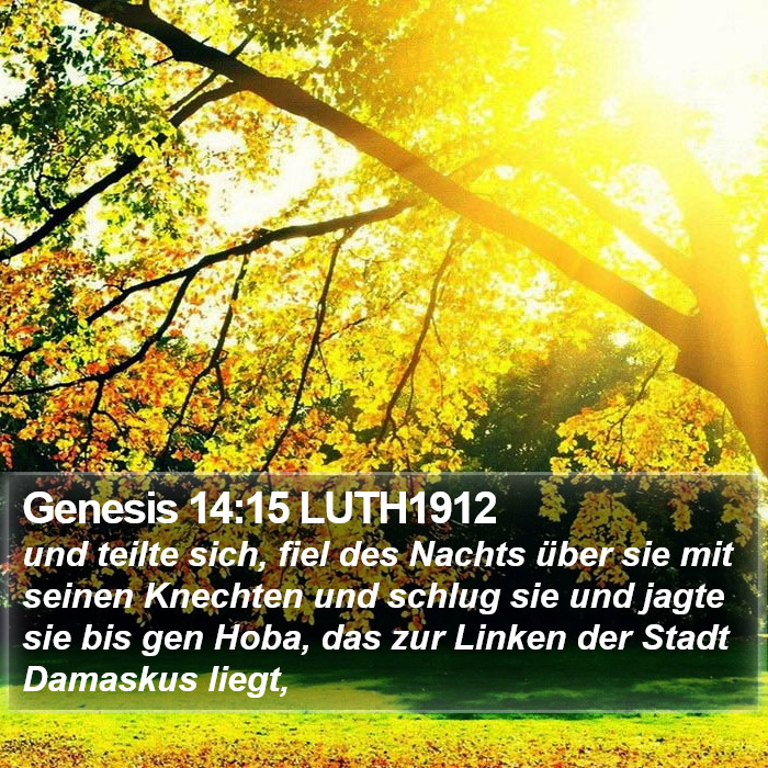 Genesis 14:15 LUTH1912 Bible Study