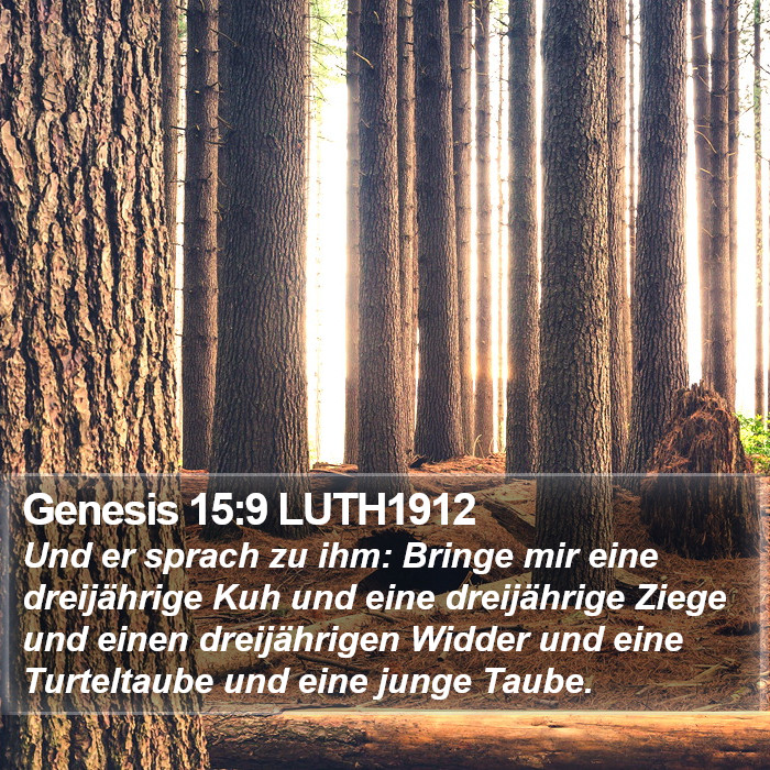 Genesis 15:9 LUTH1912 Bible Study