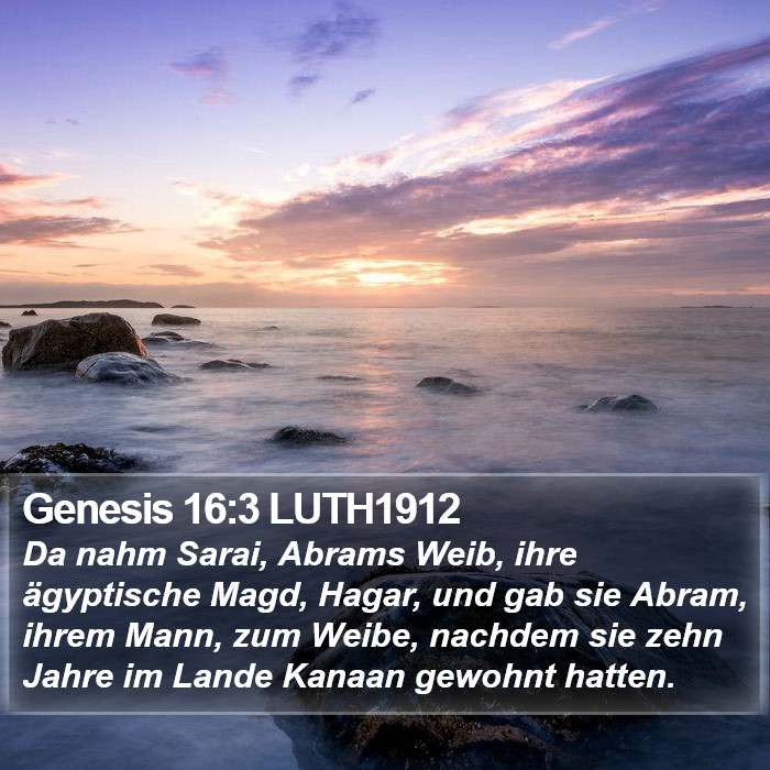 Genesis 16:3 LUTH1912 Bible Study