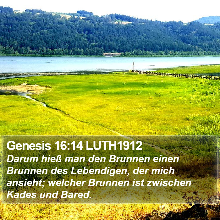 Genesis 16:14 LUTH1912 Bible Study