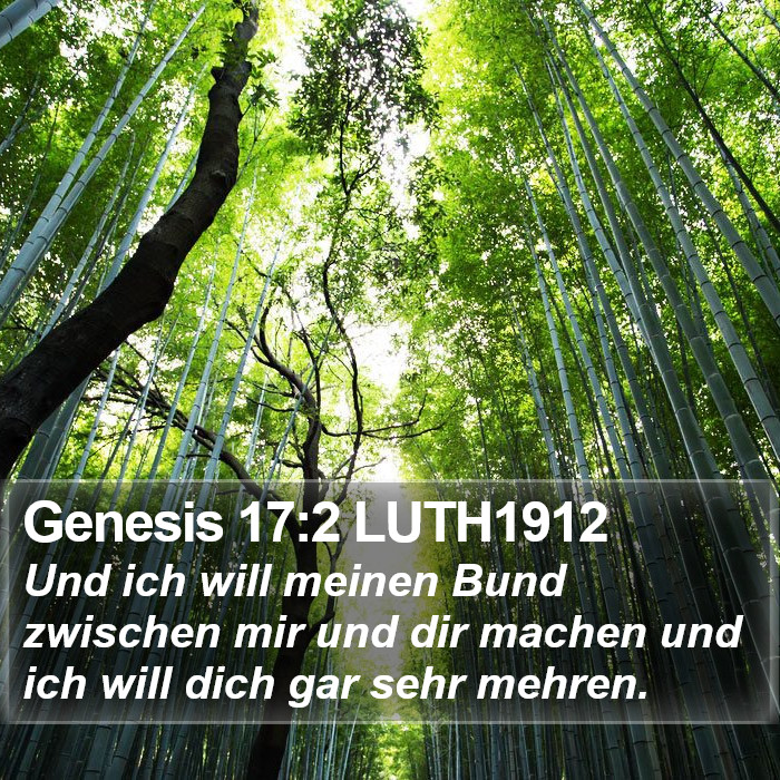 Genesis 17:2 LUTH1912 Bible Study