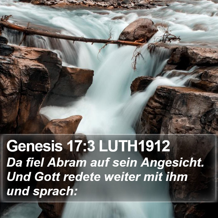 Genesis 17:3 LUTH1912 Bible Study