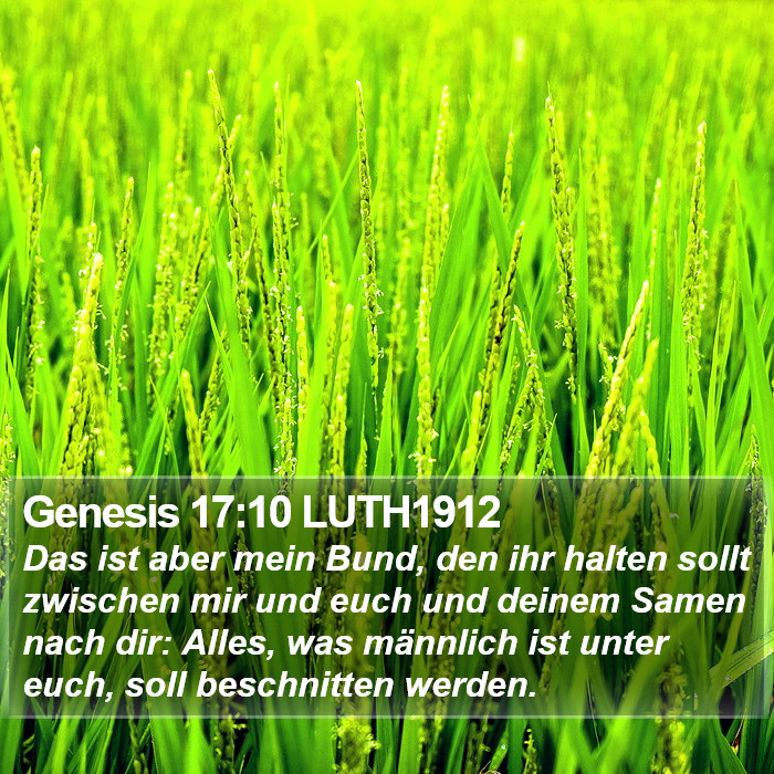 Genesis 17:10 LUTH1912 Bible Study