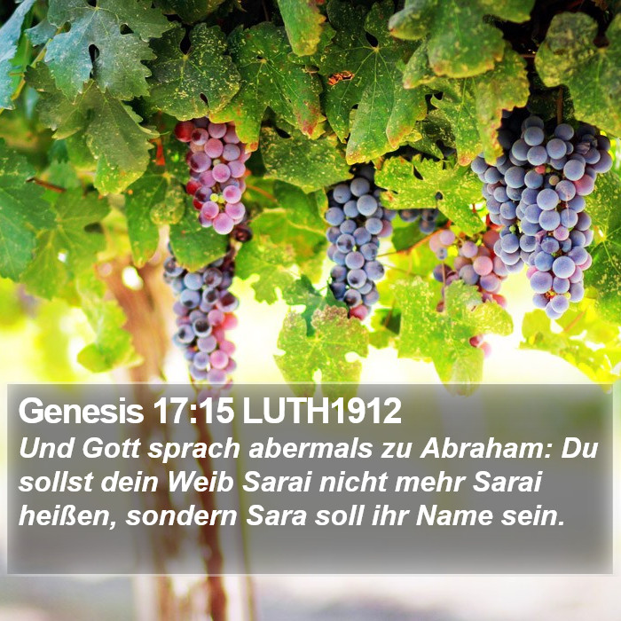 Genesis 17:15 LUTH1912 Bible Study