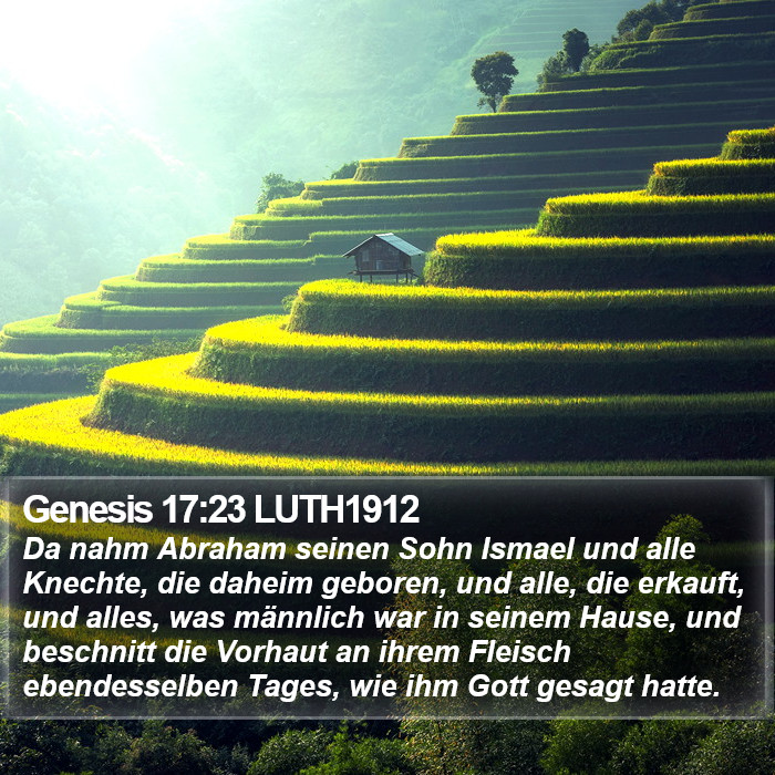 Genesis 17:23 LUTH1912 Bible Study