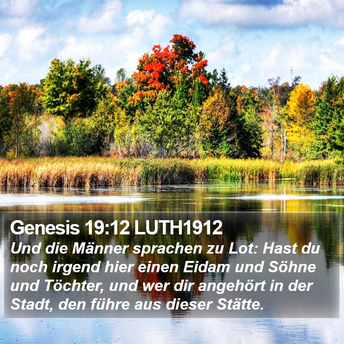 Genesis 19:12 LUTH1912 Bible Study