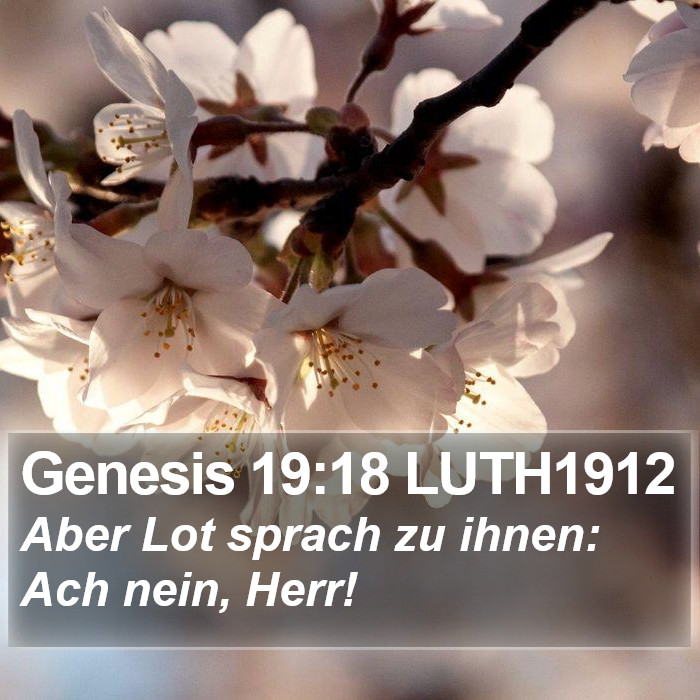 Genesis 19:18 LUTH1912 Bible Study