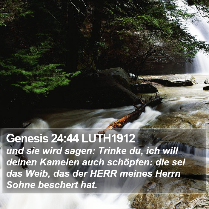 Genesis 24:44 LUTH1912 Bible Study