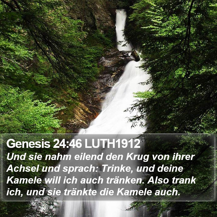 Genesis 24:46 LUTH1912 Bible Study