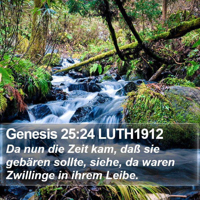 Genesis 25:24 LUTH1912 Bible Study