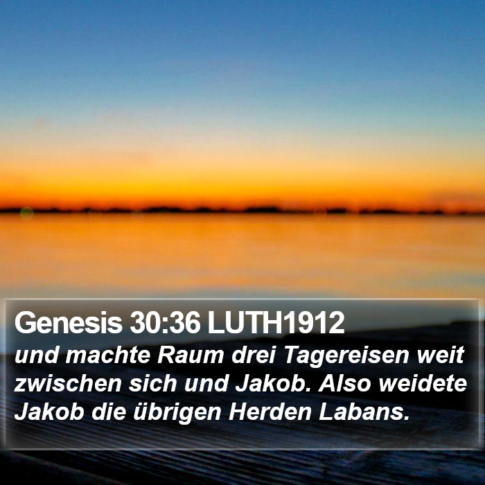 Genesis 30:36 LUTH1912 Bible Study