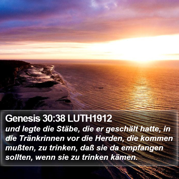 Genesis 30:38 LUTH1912 Bible Study