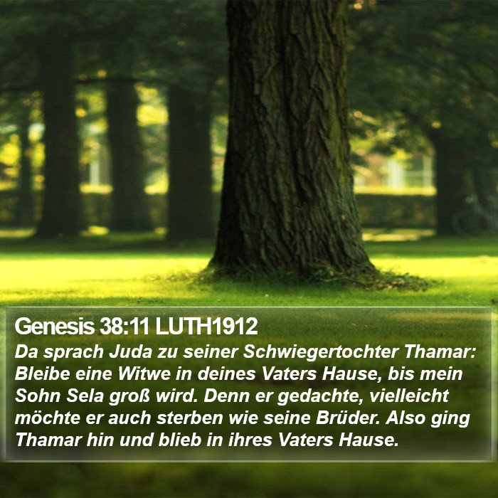 Genesis 38:11 LUTH1912 Bible Study