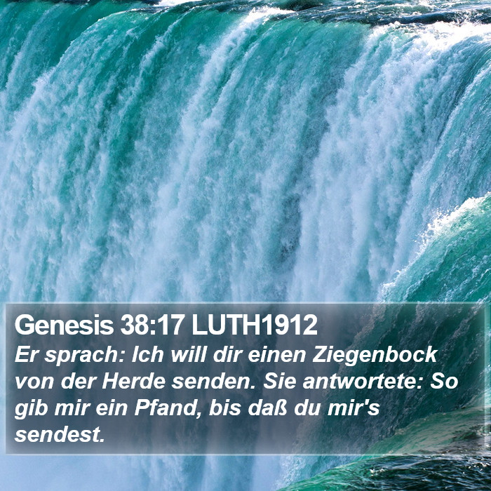 Genesis 38:17 LUTH1912 Bible Study