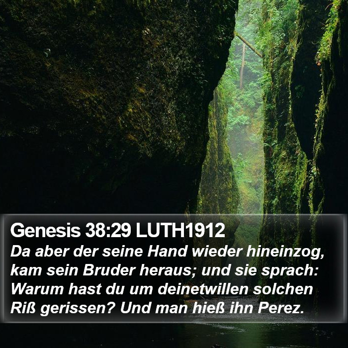 Genesis 38:29 LUTH1912 Bible Study