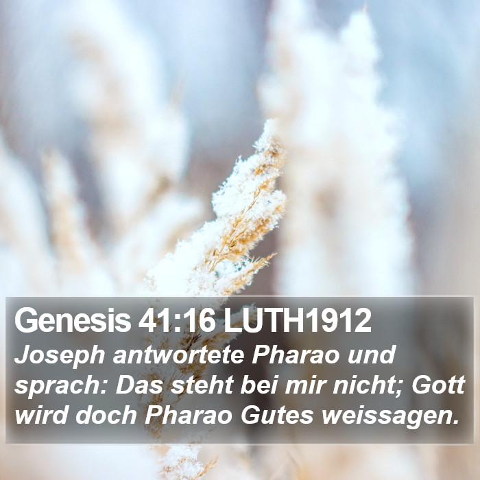 Genesis 41:16 LUTH1912 Bible Study