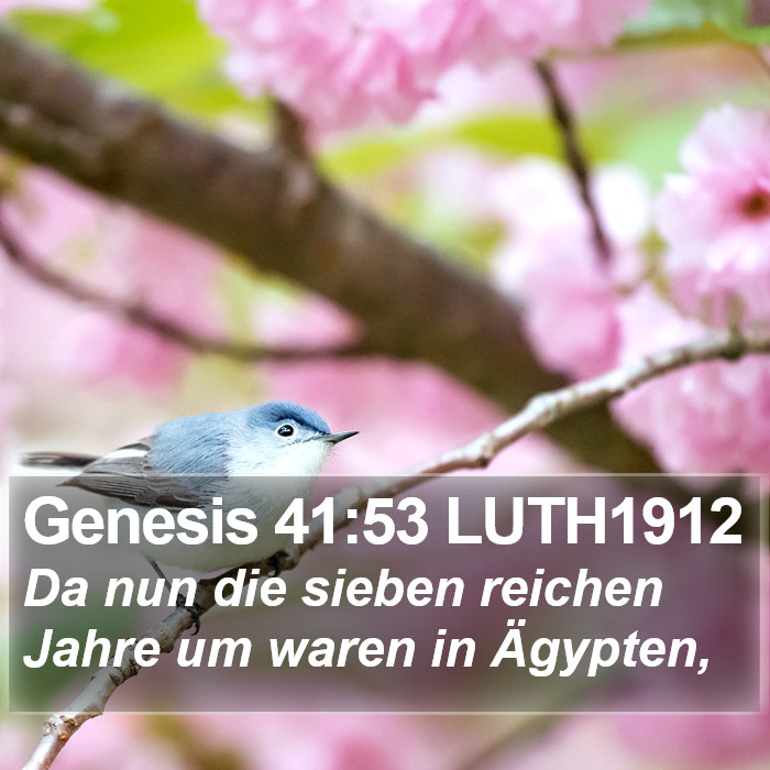 Genesis 41:53 LUTH1912 Bible Study