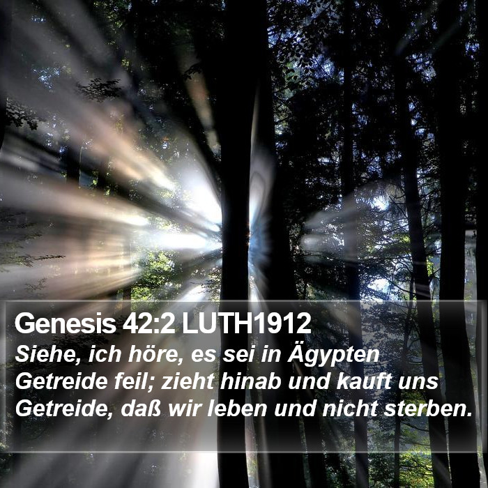 Genesis 42:2 LUTH1912 Bible Study