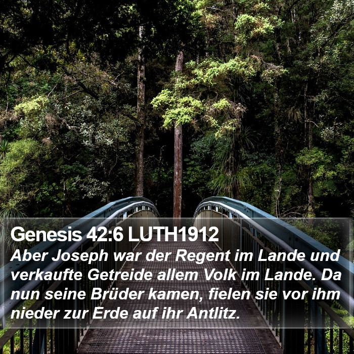 Genesis 42:6 LUTH1912 Bible Study