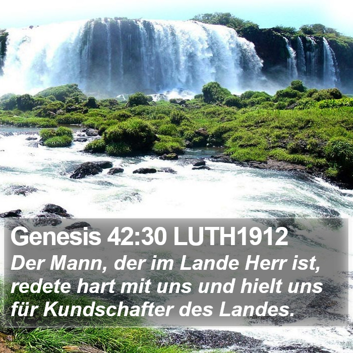 Genesis 42:30 LUTH1912 Bible Study