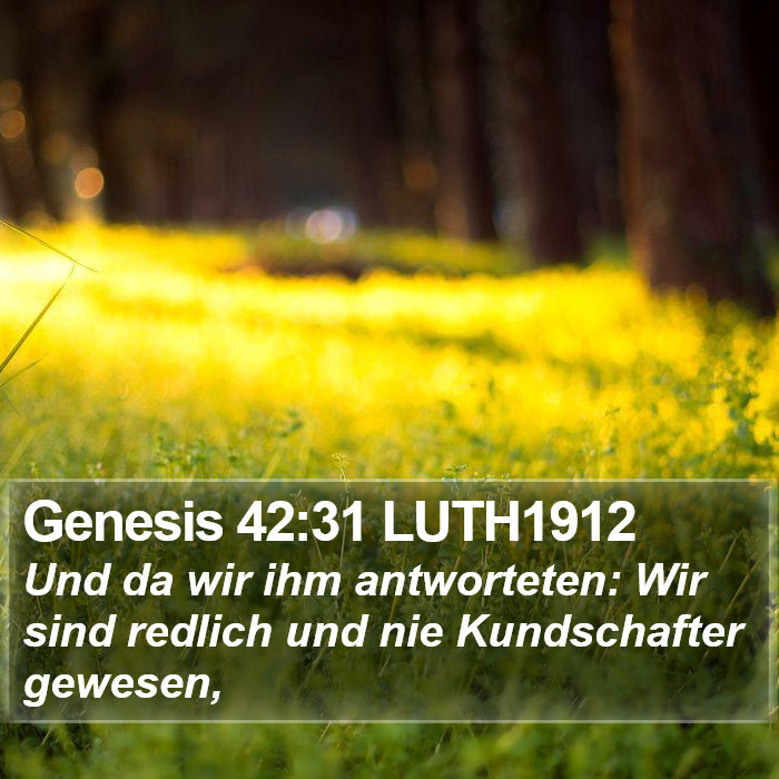 Genesis 42:31 LUTH1912 Bible Study