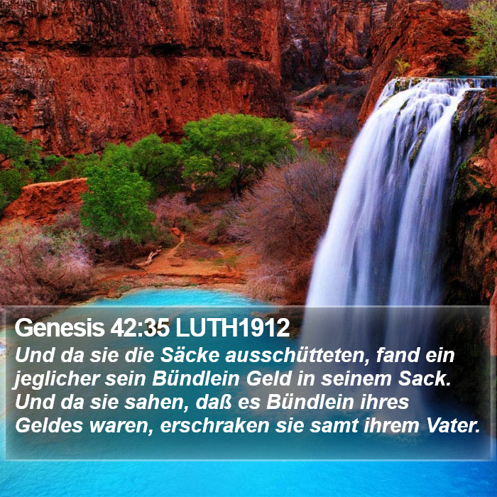 Genesis 42:35 LUTH1912 Bible Study