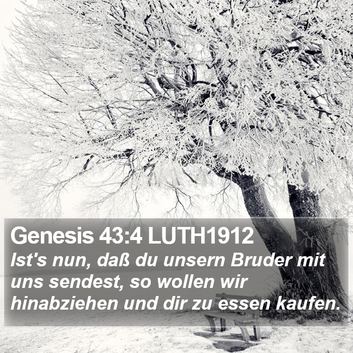 Genesis 43:4 LUTH1912 Bible Study