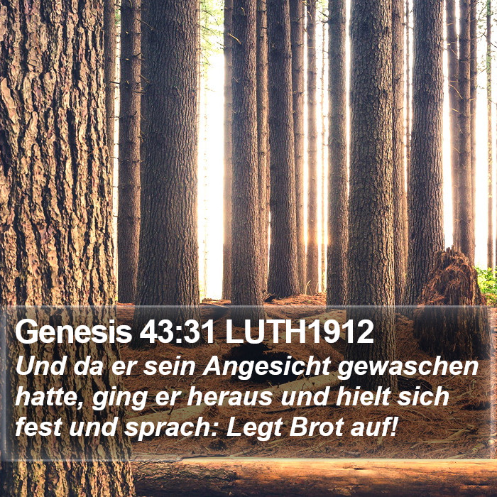 Genesis 43:31 LUTH1912 Bible Study